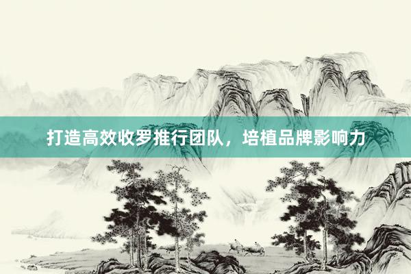 打造高效收罗推行团队，培植品牌影响力