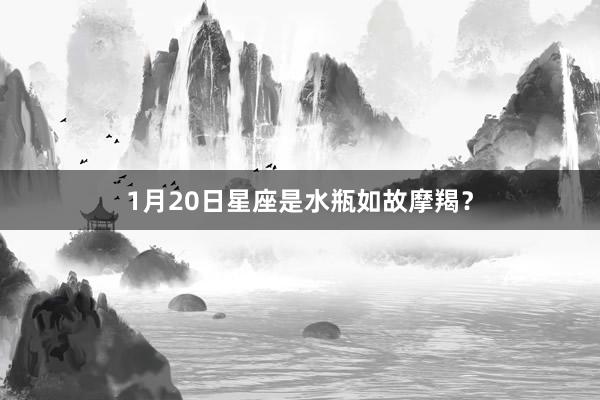 1月20日星座是水瓶如故摩羯？