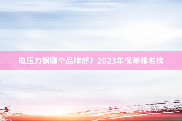 电压力锅哪个品牌好？2023年保举排名榜