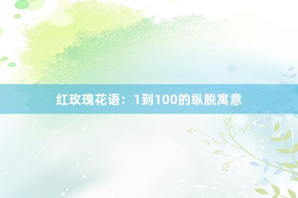 红玫瑰花语：1到100的纵脱寓意